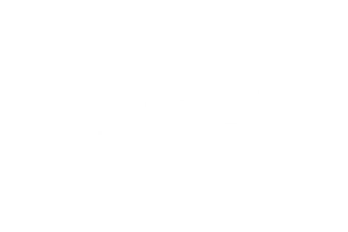 NSH Logo
