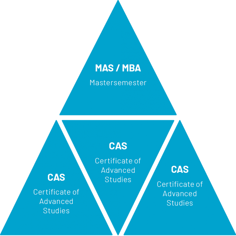 MAS-MBA-CAS Grafik
