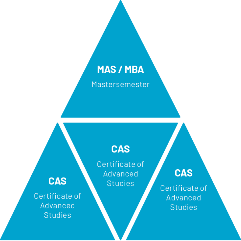 MAS-MBA-CAS Grafik