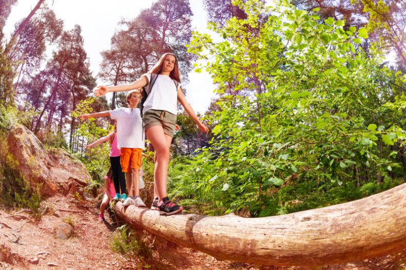 ipso haus des lernens angebot klasse wald natur primar