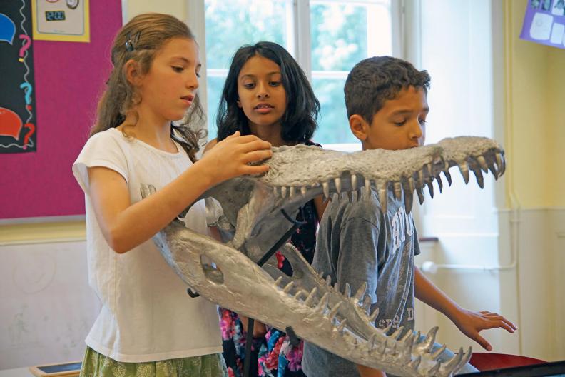 isrh primarschule schüler unterricht krokodil