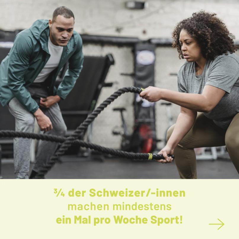 News ipso Fitness-und Bewegungstrainer