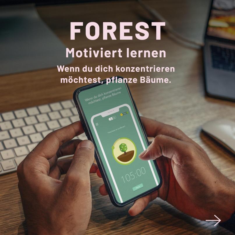 ipso news forest