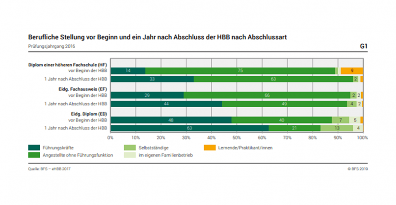 ifa news berufliche stellung nach abschluss
