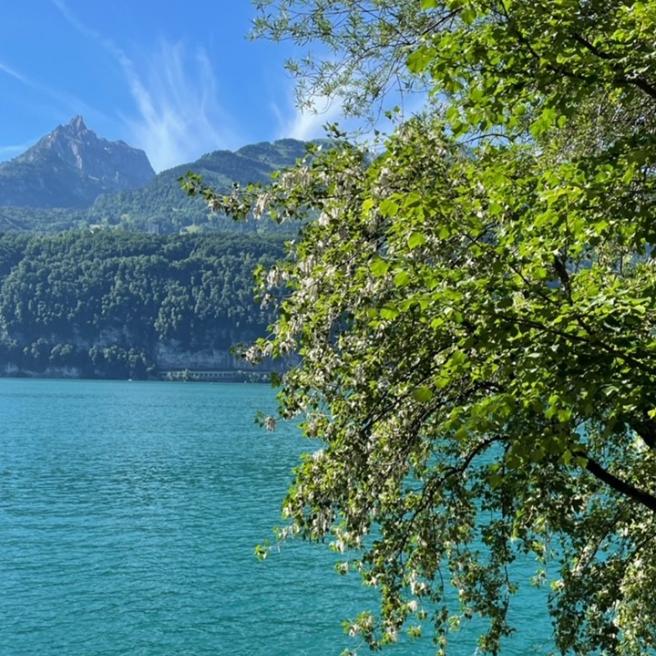Walensee