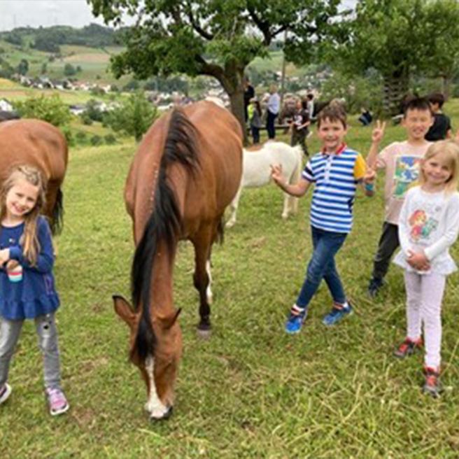 ipso-isr-news-spendensammlung-tierlignadenhof-kaisten-thumbnaiil