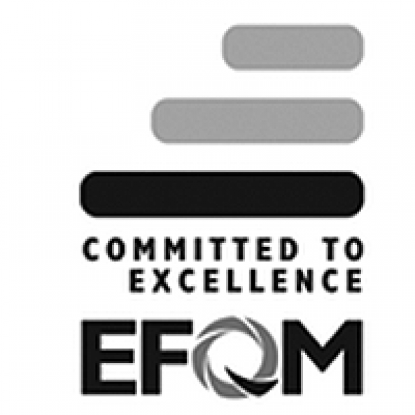 efqm.png Thumbnail